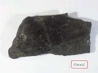 蘆木藏品圖，第3張